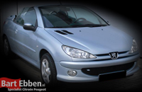 Veerpoot peugeot 206