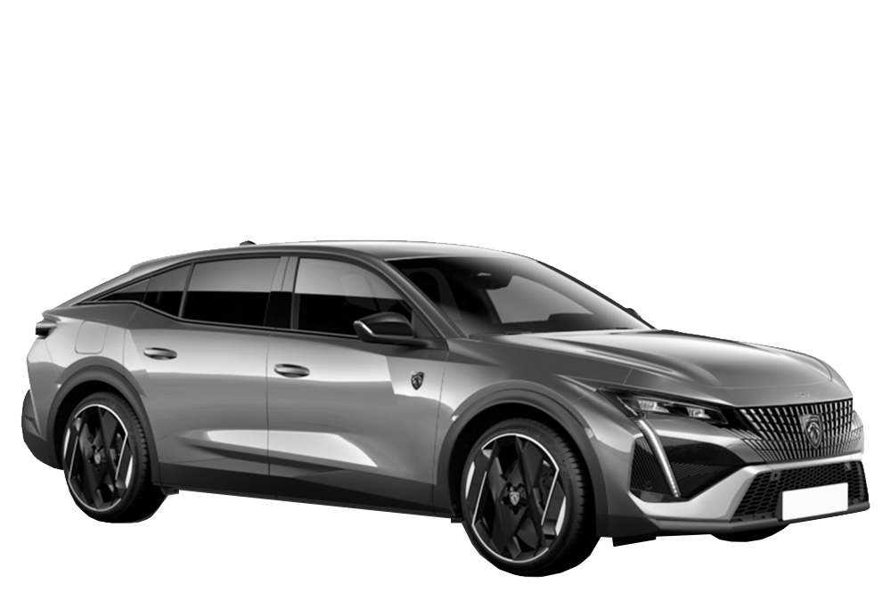 408 (P54) 408 (P54)