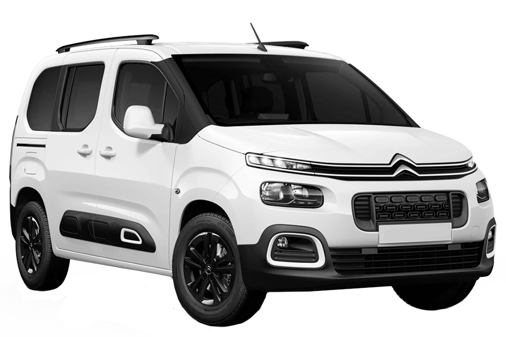 BERLINGO K9 BERLINGO K9
