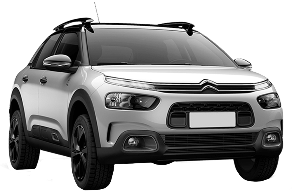 C4 CACTUS C4 CACTUS