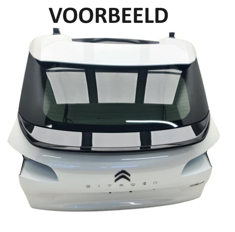 HAND BEDIENBAAR/ ZIE YL01957280 MET RUIT ZIE YL01858180