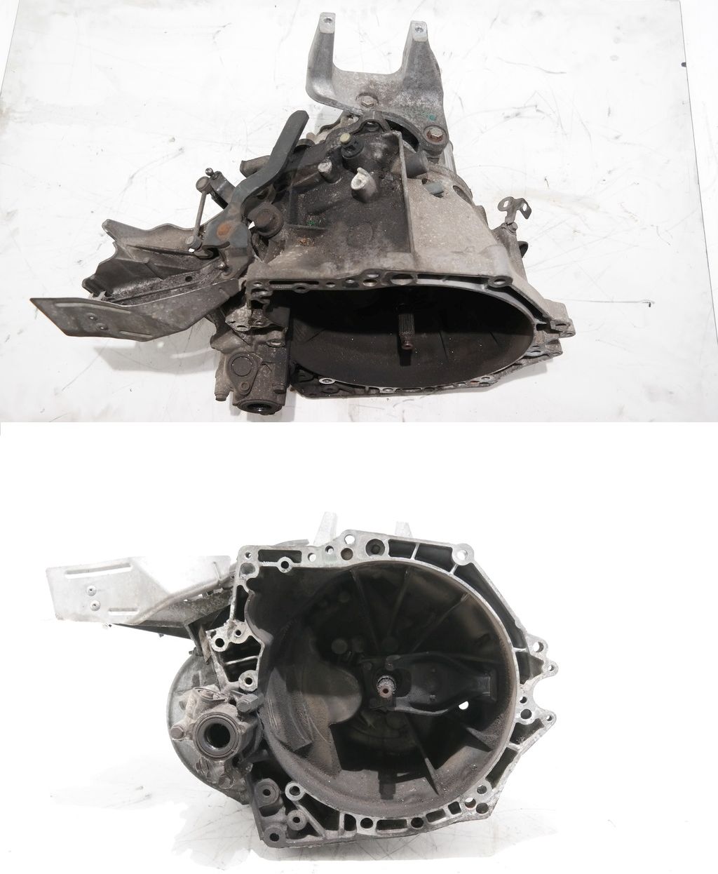 20DP50 3599098