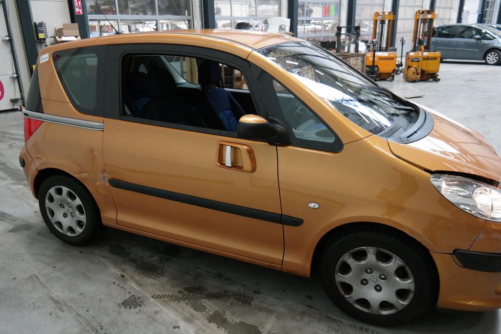 PEUGEOT 1007